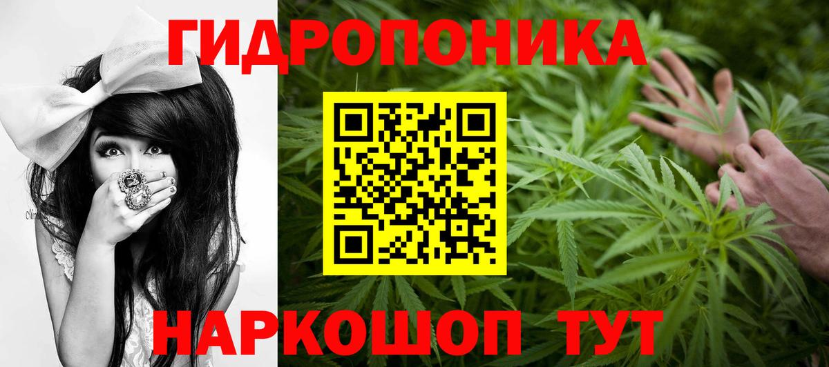 Марихуана планчик  Вход с VPN  Уварово  Каннабис ГИДРОПОН 